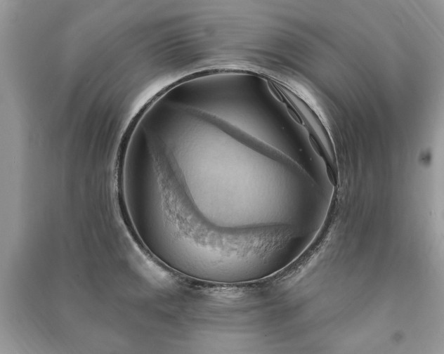 X0000090981141200708091452