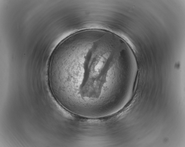X0000090981142200708091452