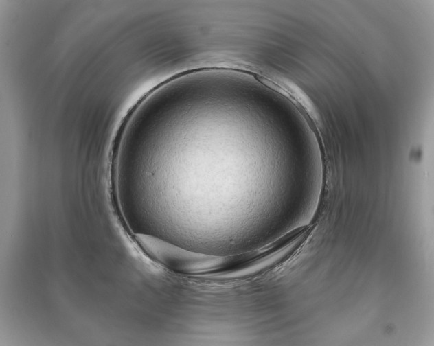 X0000090981144200708091452