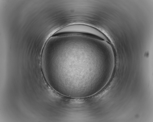 X0000090981145200708091452