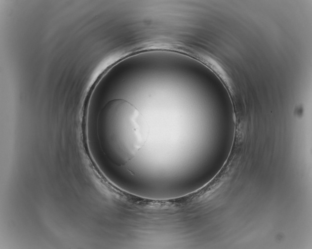X0000090981146200708091452