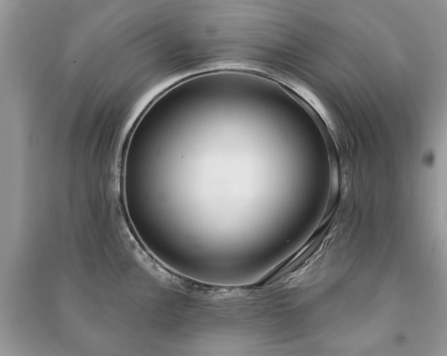 X0000090981148200708091452