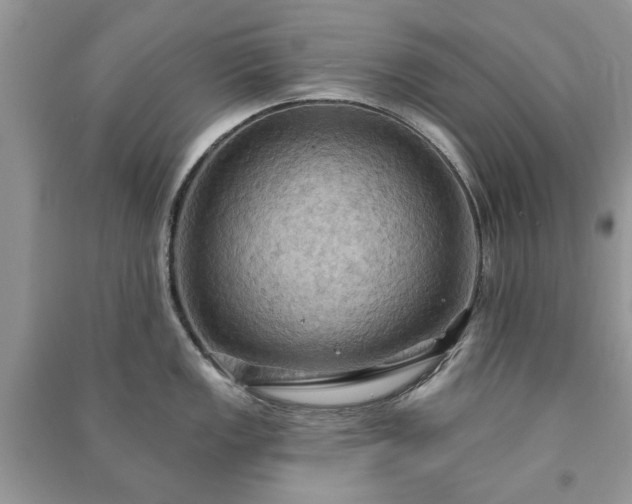 X0000090981149200708091452