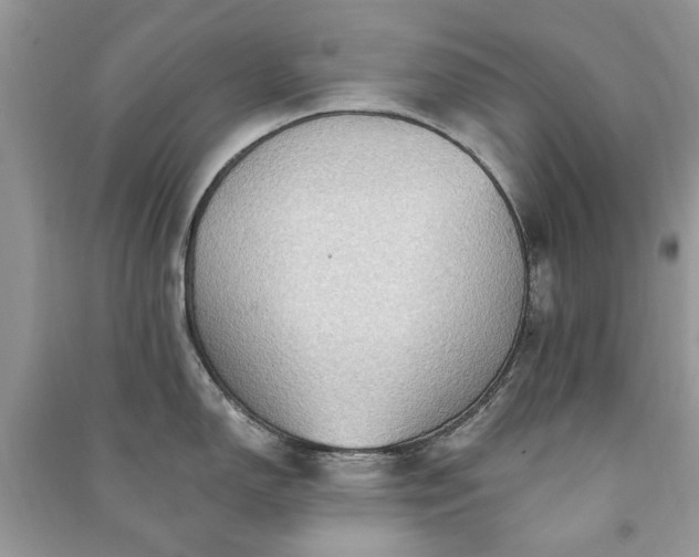 X0000090981150200708091452