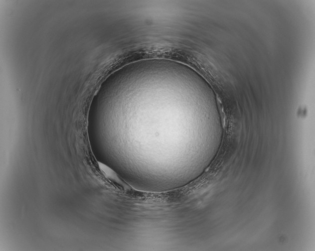 X0000090981153200708091452