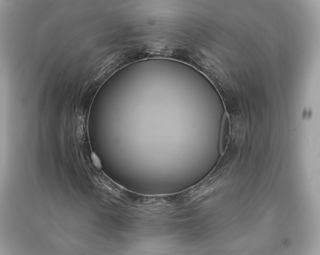 X0000090981154200708091452