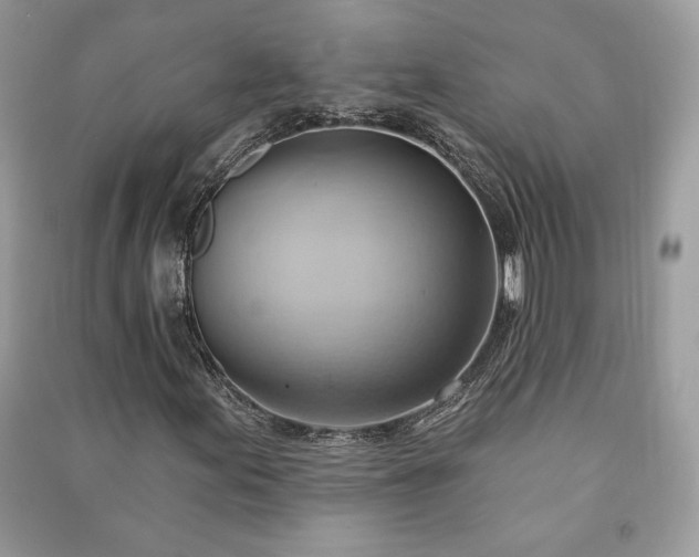 X0000090981155200708091452