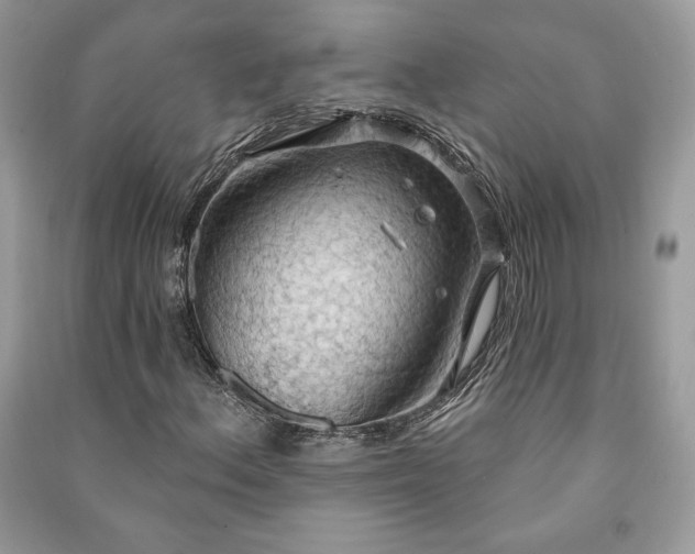 X0000090981156200708091452