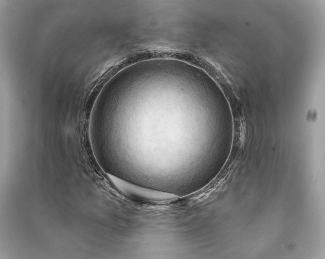 X0000090981157200708091452