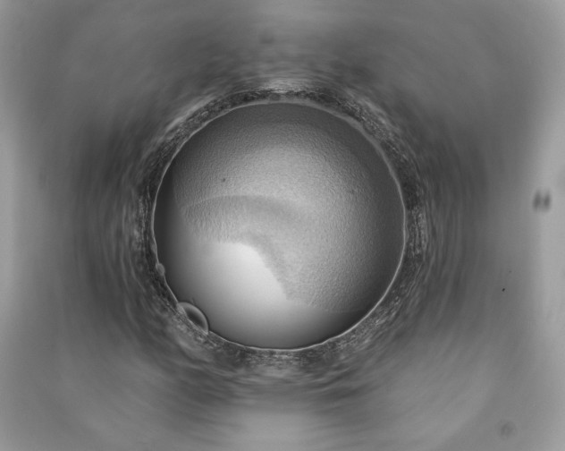 X0000090981158200708091452