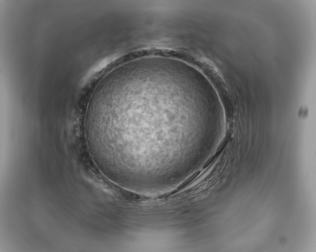 X0000090981159200708091452