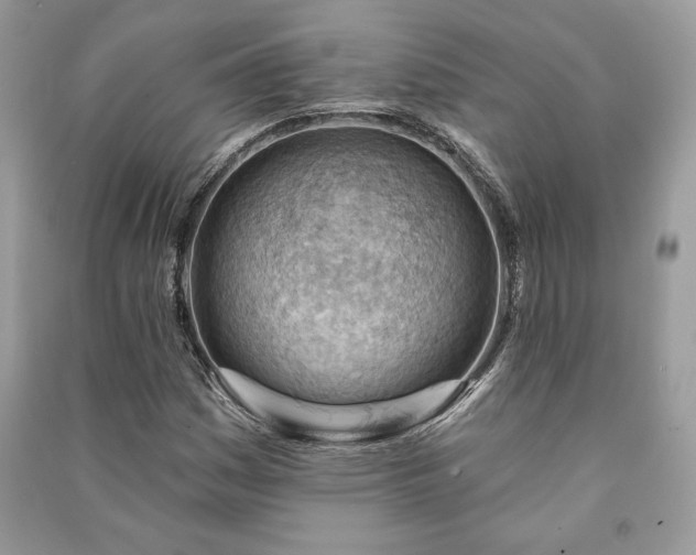 X0000090981161200708091451