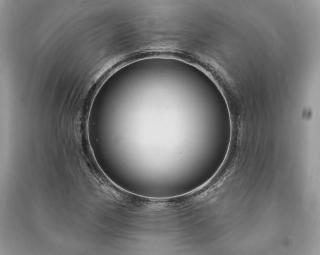 X0000090981162200708091451