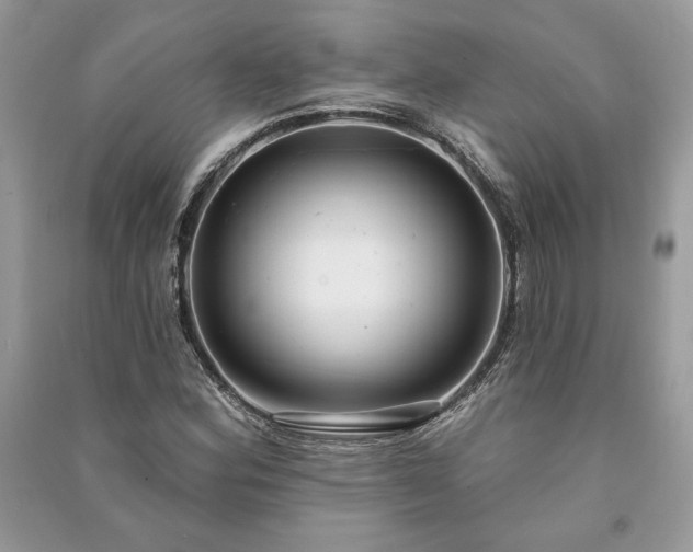 X0000090981164200708091451