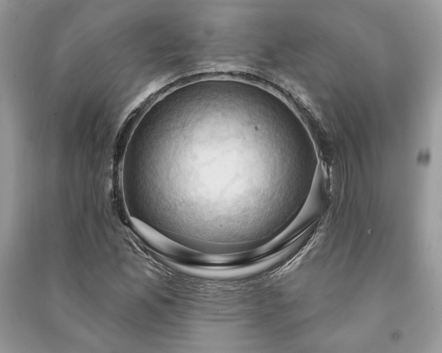 X0000090981165200708091451