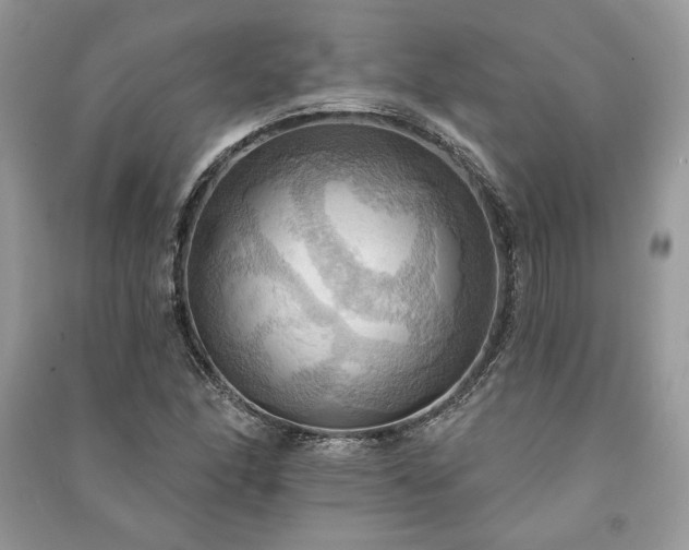 X0000090981166200708091451