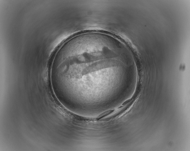 X0000090981167200708091451