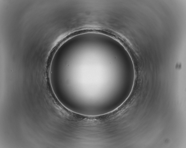 X0000090981168200708091451