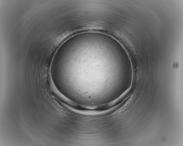X0000090981169200708091451