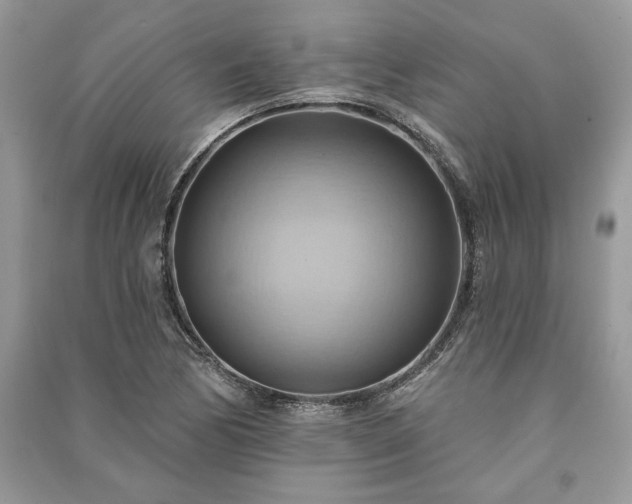 X0000090981170200708091451