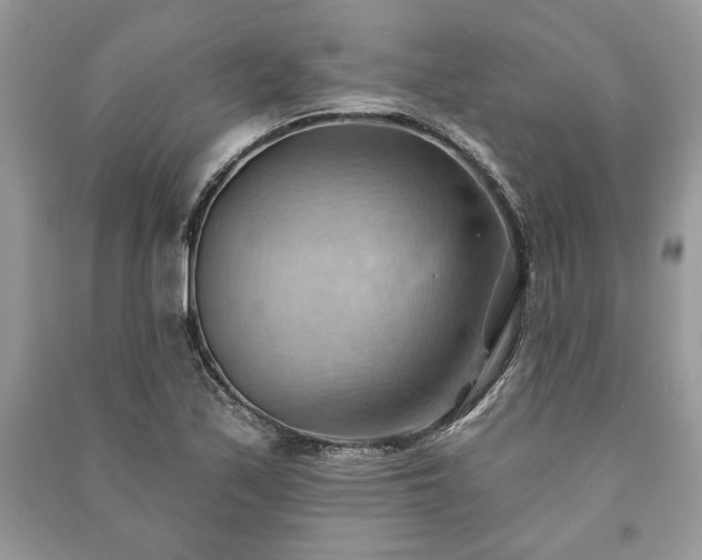 X0000090981171200708091451