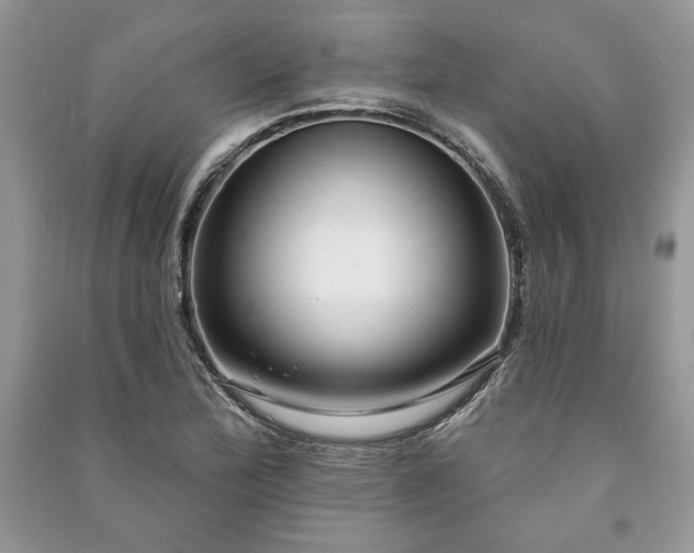 X0000090981172200708091451