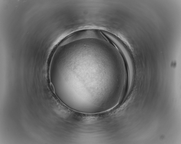 X0000090981173200708091451