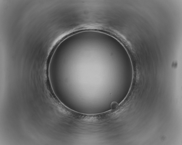 X0000090981174200708091451