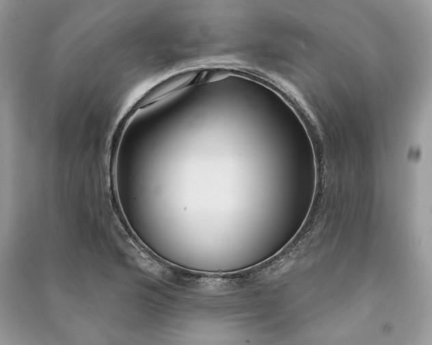 X0000090981176200708091451
