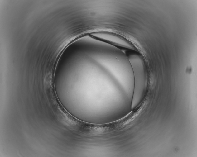 X0000090981177200708091451