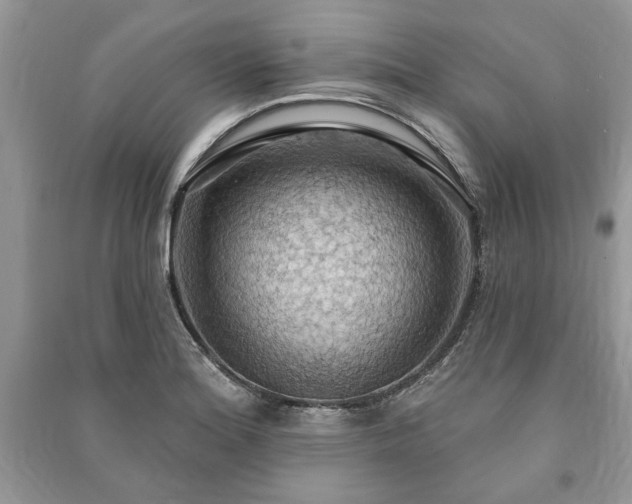 X0000090981180200708091451