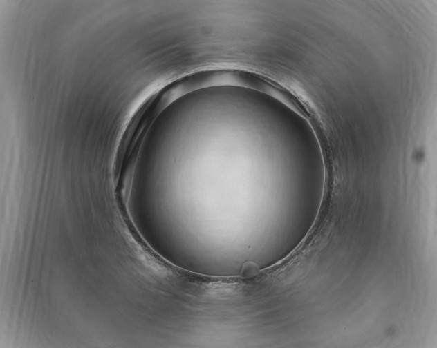 X0000090981181200708091451