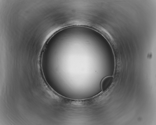 X0000090981182200708091451