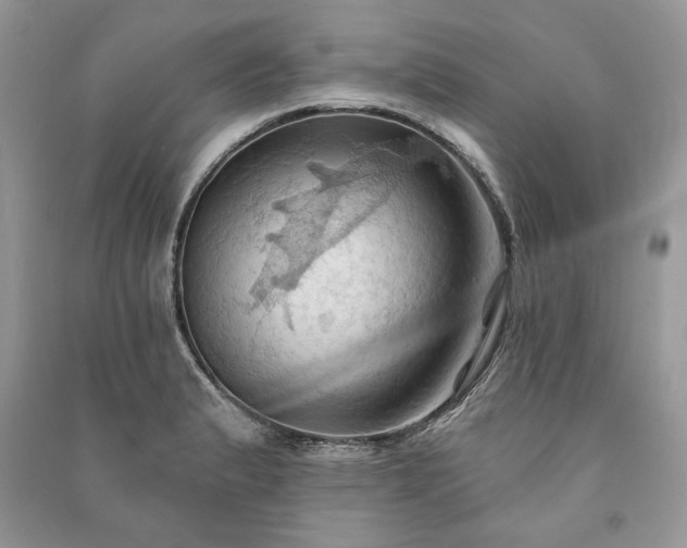 X0000090981183200708091451