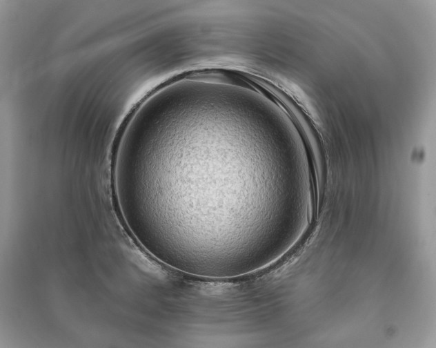 X0000090981184200708091451