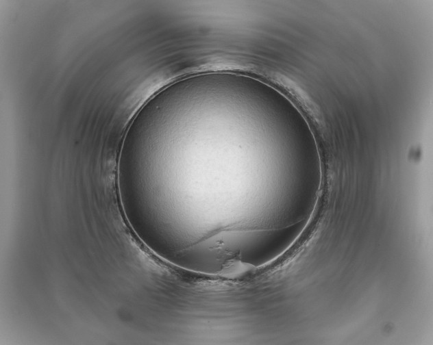 X0000090981185200708091451