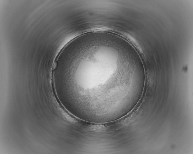 X0000090981186200708091451