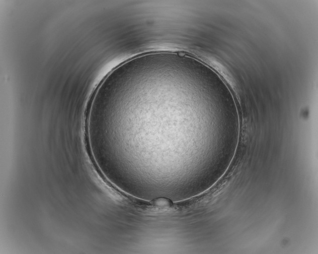 X0000090981187200708091451