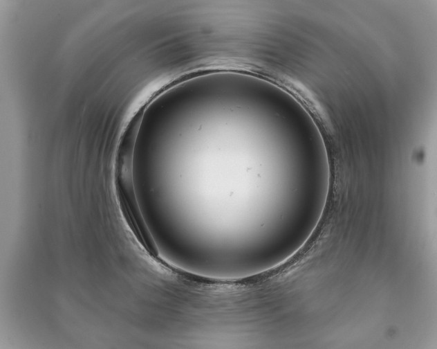X0000090981188200708091451