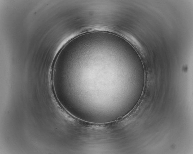 X0000090981190200708091451