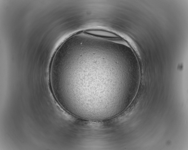 X0000090981191200708091451