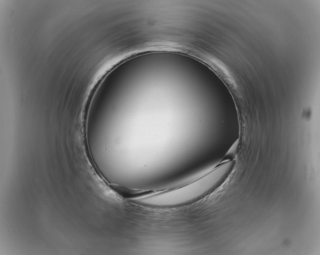 X0000090981192200708091451