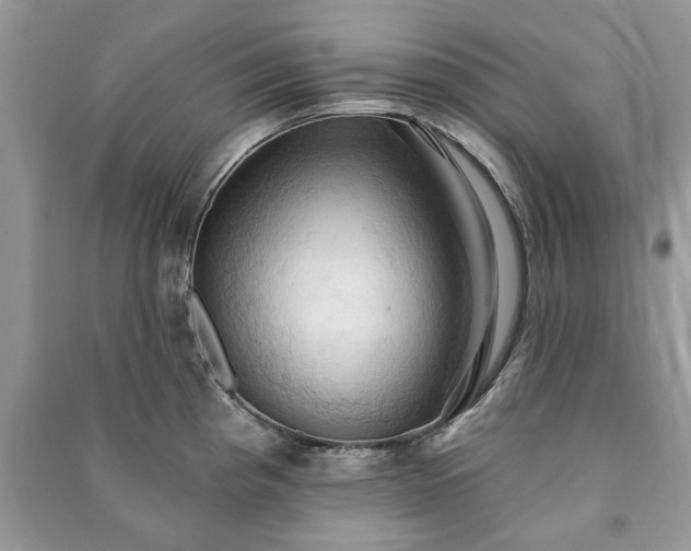 X0000090981193200708091451