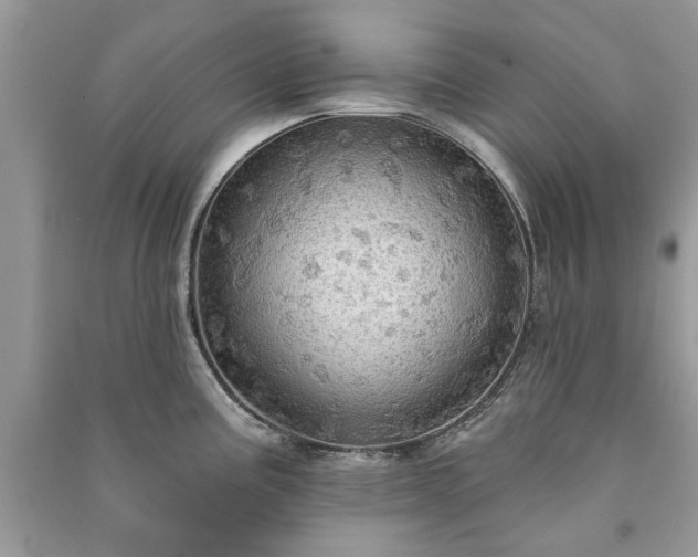 X0000090981195200708091451
