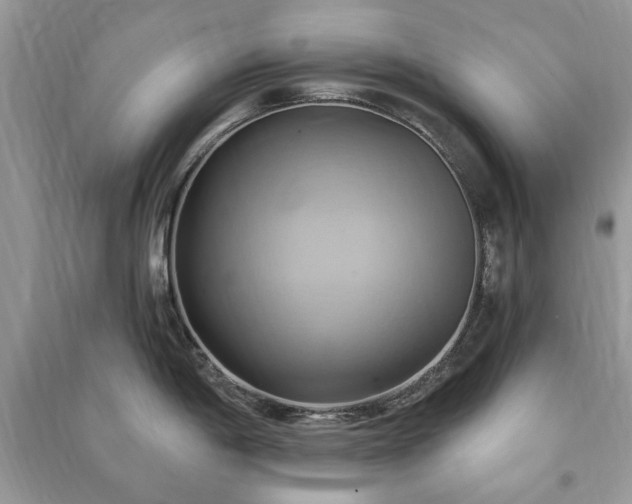 X0000090981198200708091451