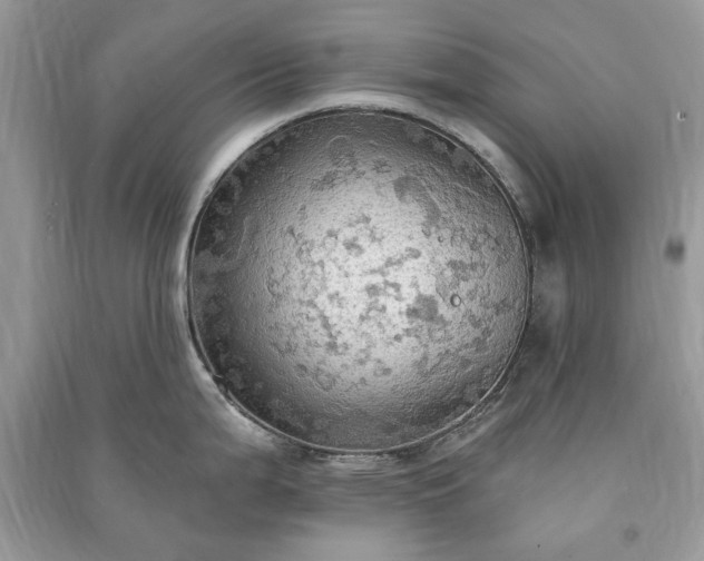 X0000090981199200708091451