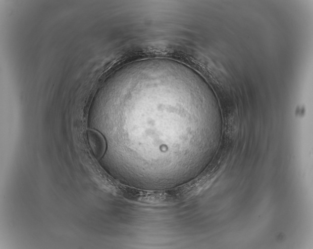 X0000090981201200708091450