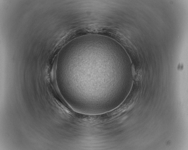 X0000090981202200708091450