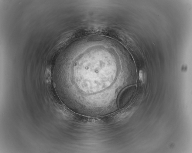 X0000090981203200708091450