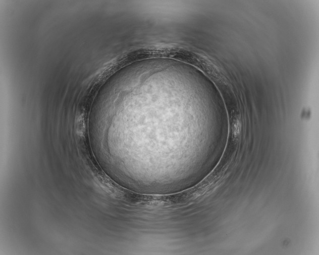 X0000090981204200708091450